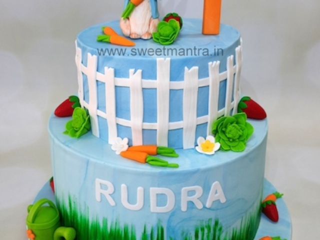 Peter Rabbit cake for 1st birthday