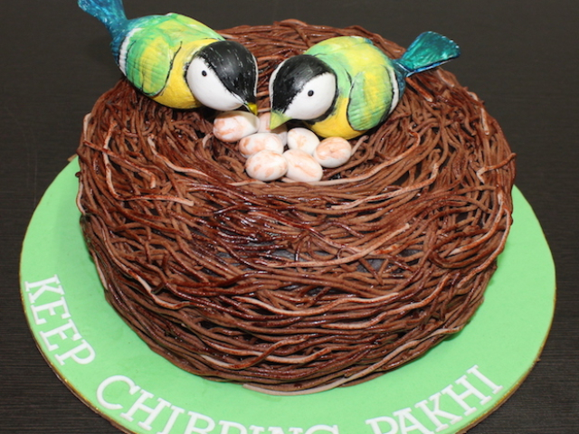Bird love design cake