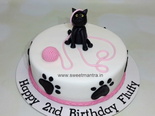 Cat birthday cake