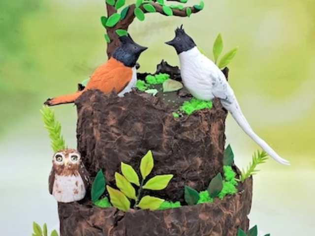 Birds cake