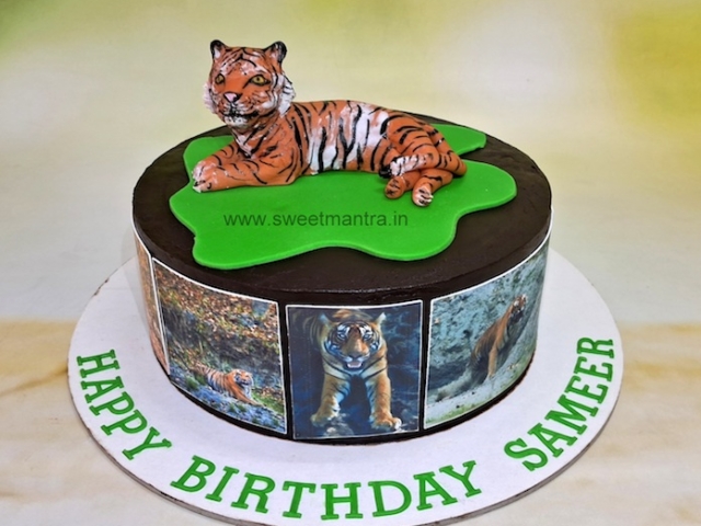 Cake for wild life photographer